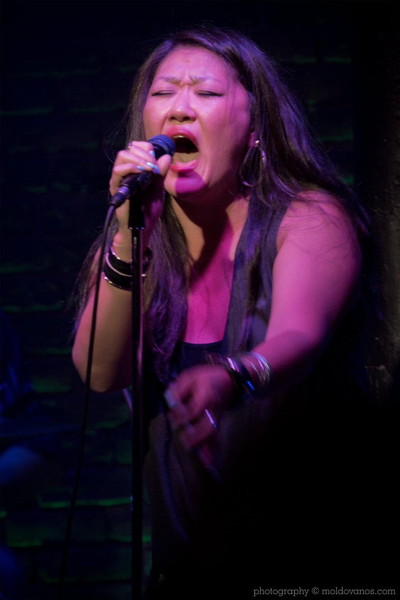 Rock Music Photography by Paul Moldovanos © moldovanos.com