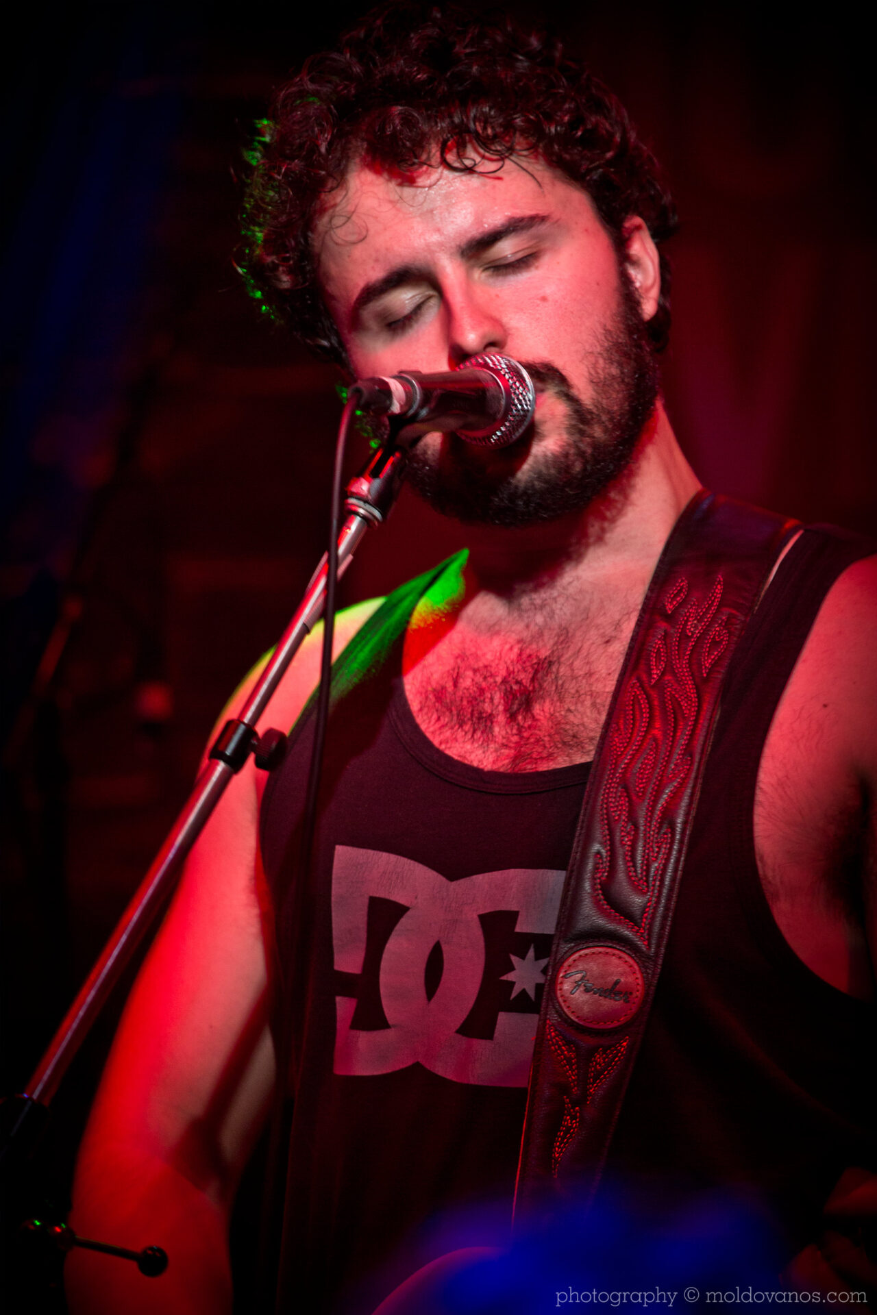 Rock Music Photography by Paul Moldovanos © moldovanos.com