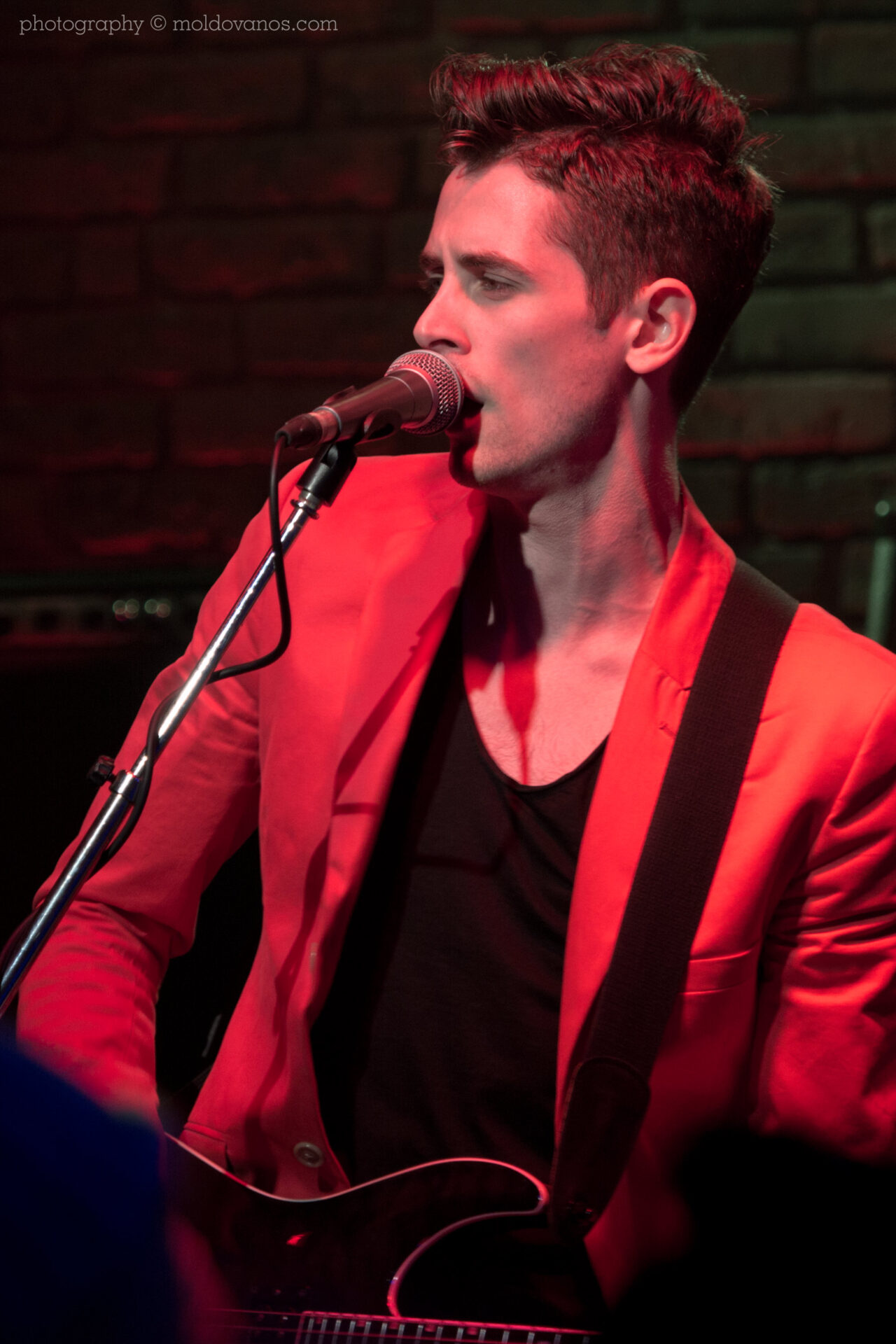 Toy Zebra- Rock Music Photography by Paul Moldovanos © moldovanos.com