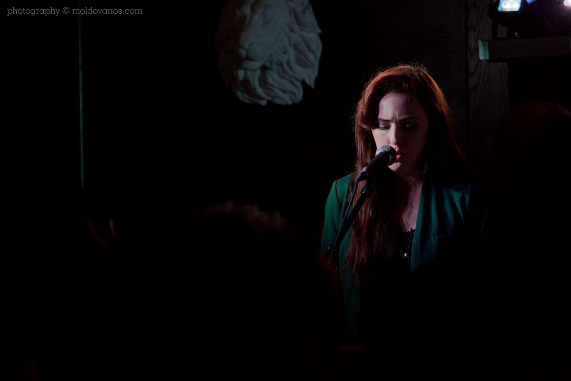 Toy Zebra- Rock Music Photography by Paul Moldovanos © moldovanos.com