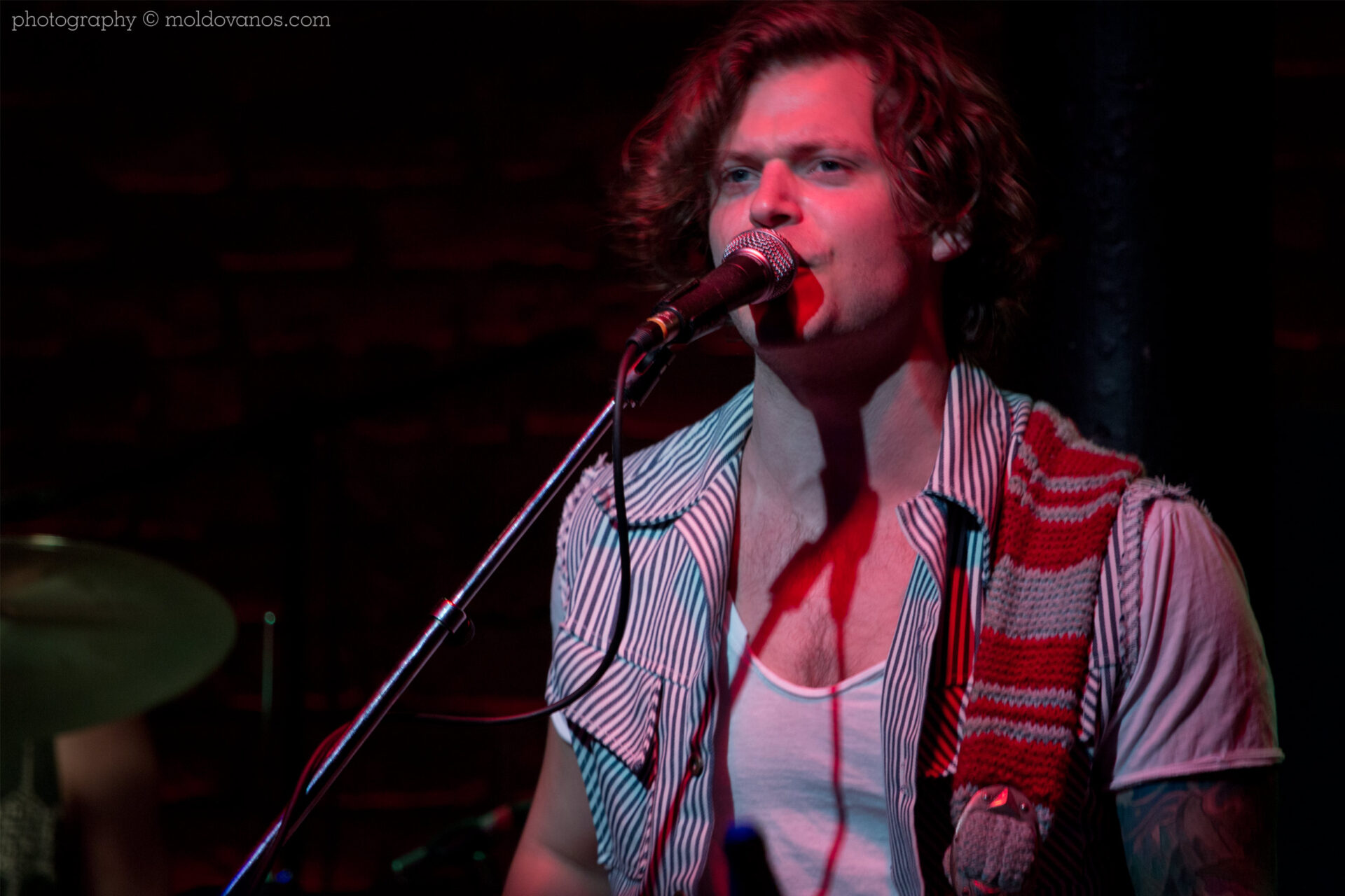 Toy Zebra- Rock Music Photography by Paul Moldovanos © moldovanos.com