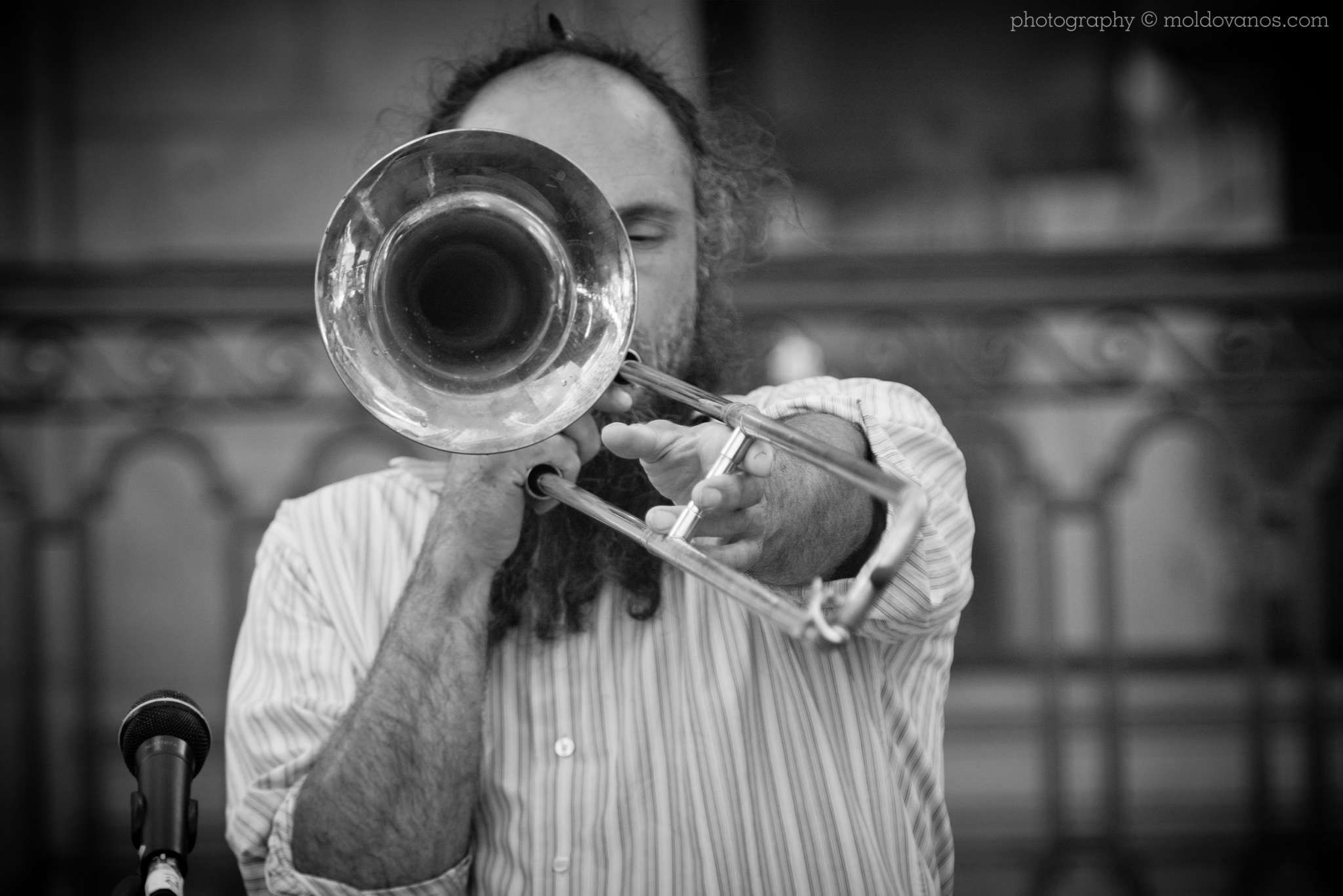 Rock - Music Photography by Paul Moldovanos © moldovanos.com