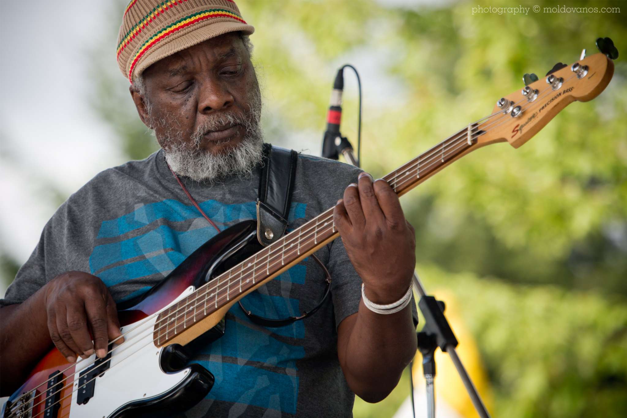 Rock - Music Photography by Paul Moldovanos © moldovanos.com