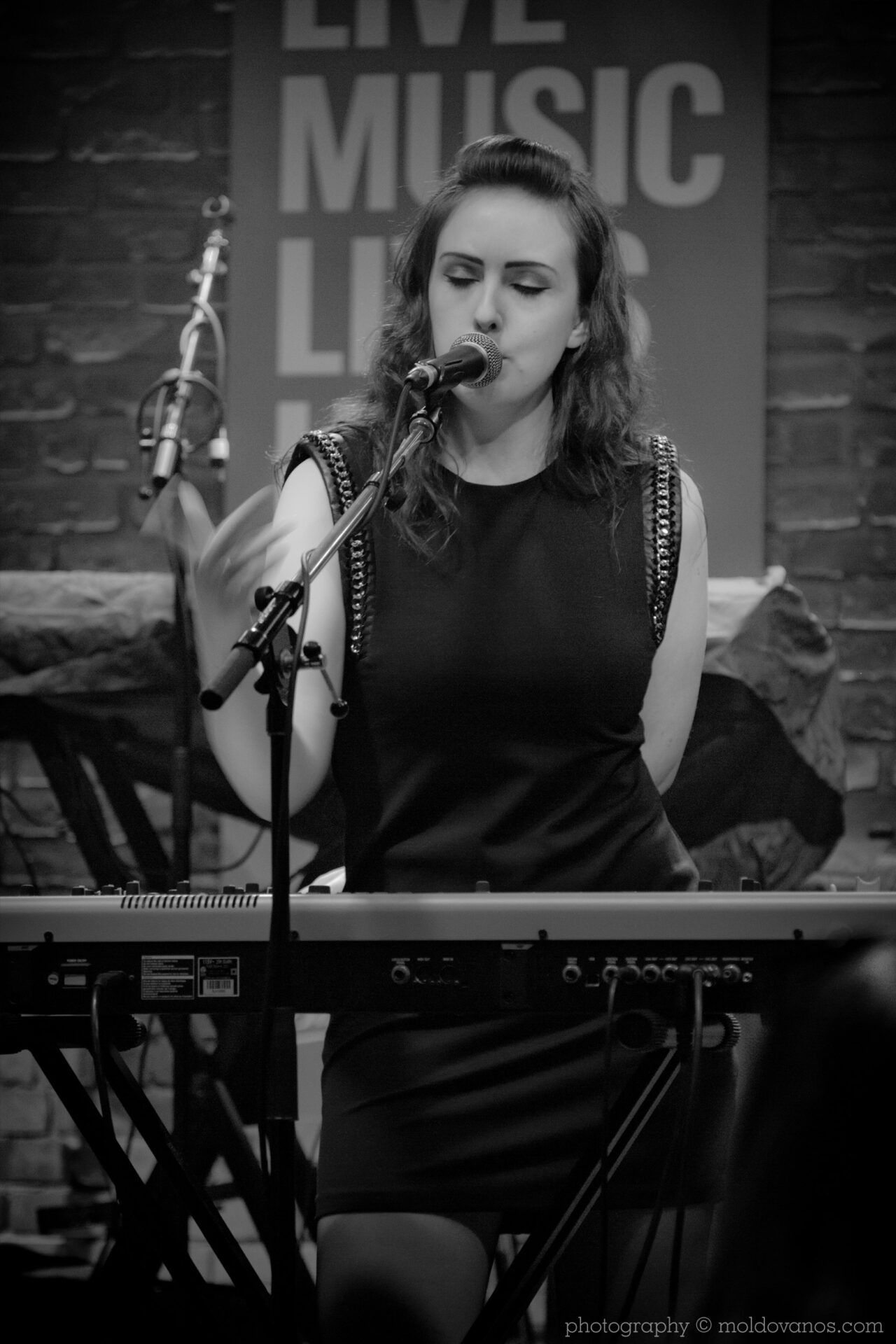 Toy Zebra- Rock Music Photography by Paul Moldovanos © moldovanos.com