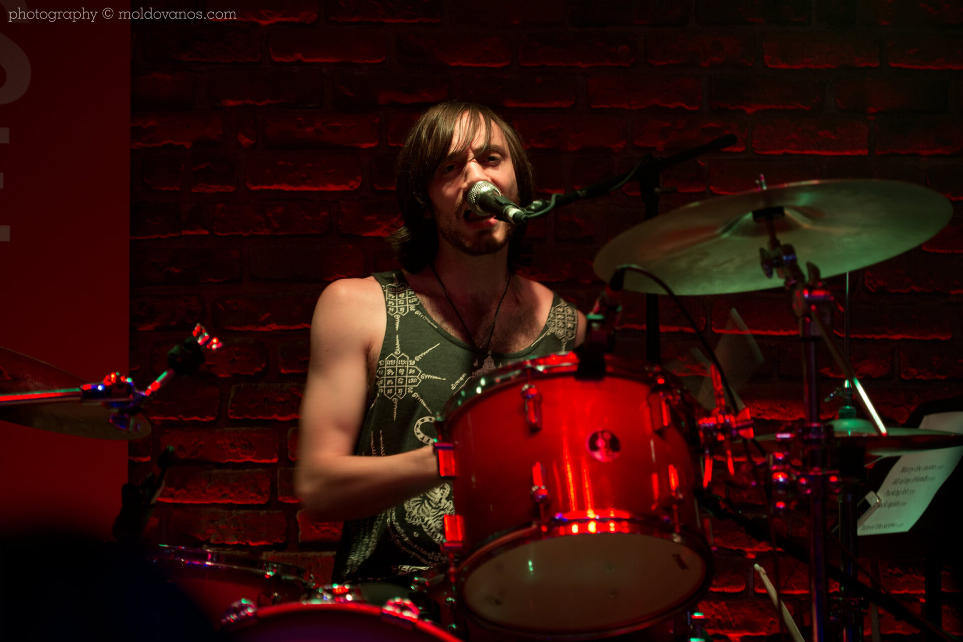 Toy Zebra- Rock Music Photography by Paul Moldovanos © moldovanos.com