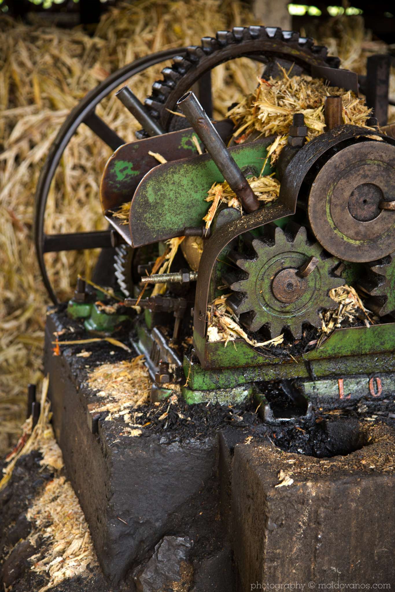 Vilcabamba Ecuador- Travel Tourism Photography by Paul Moldovanos © moldovanos.com