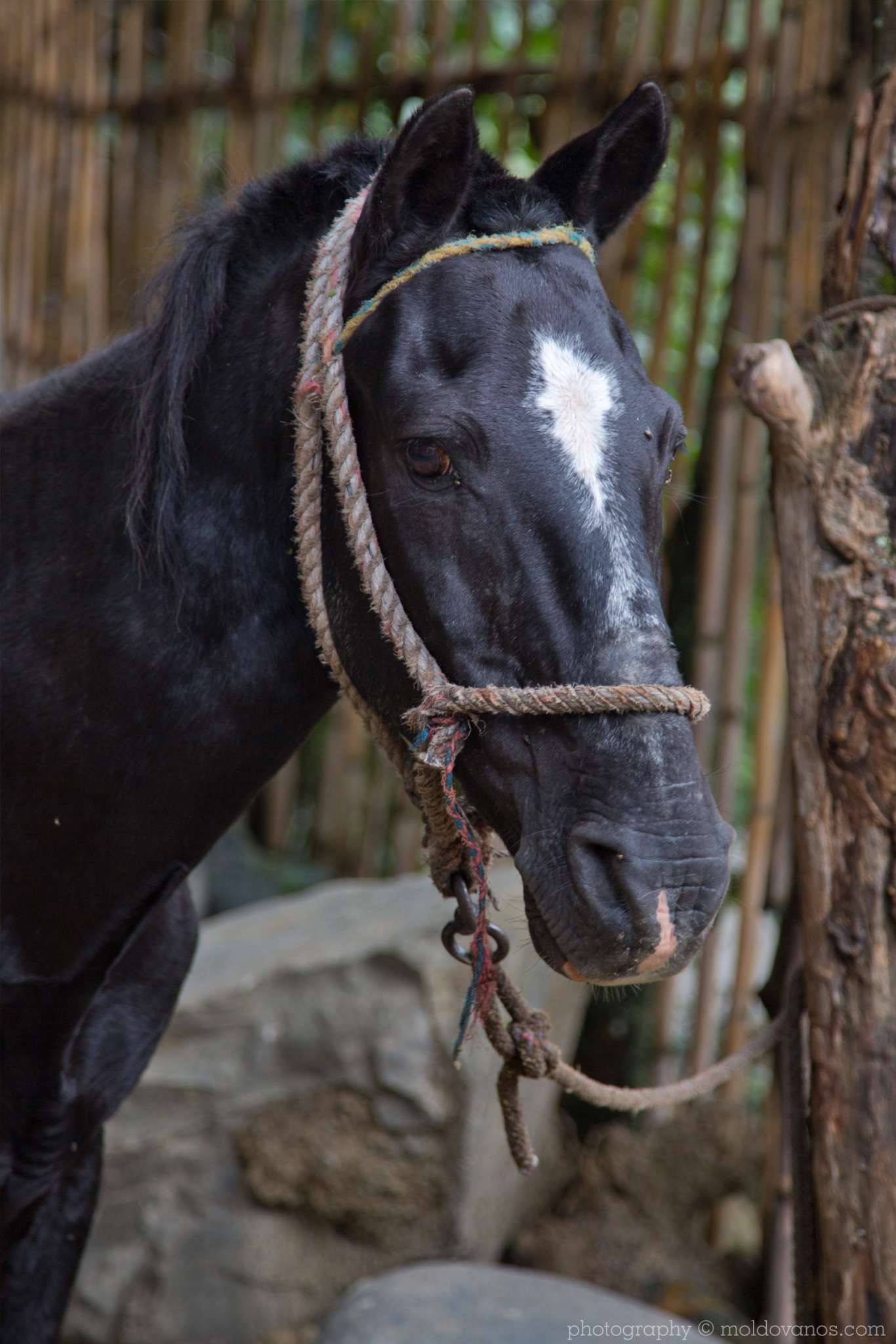 Vilcabamba Ecuador- Travel Tourism Photography by Paul Moldovanos © moldovanos.com