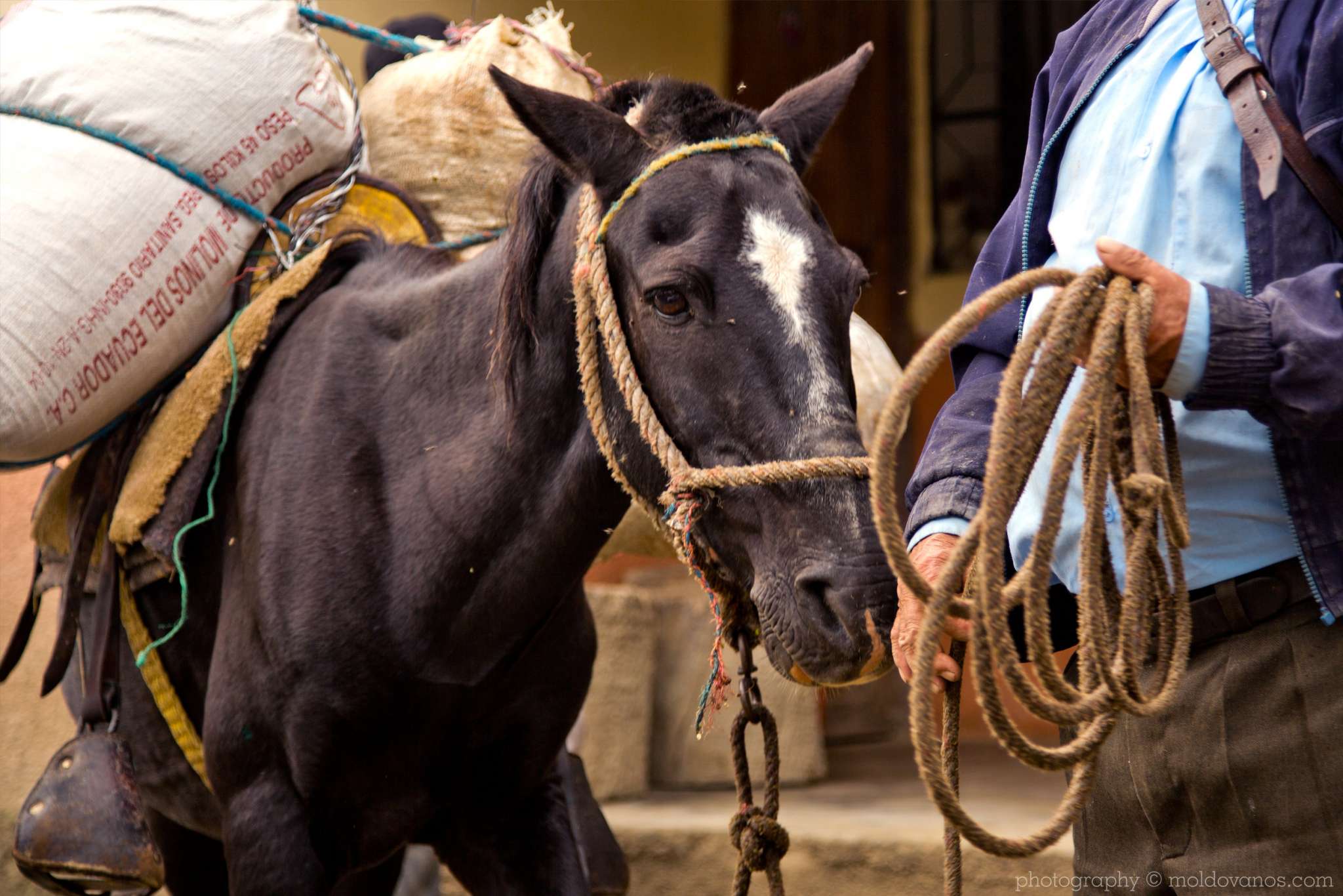 Vilcabamba Ecuador- Travel Tourism Photography by Paul Moldovanos © moldovanos.com
