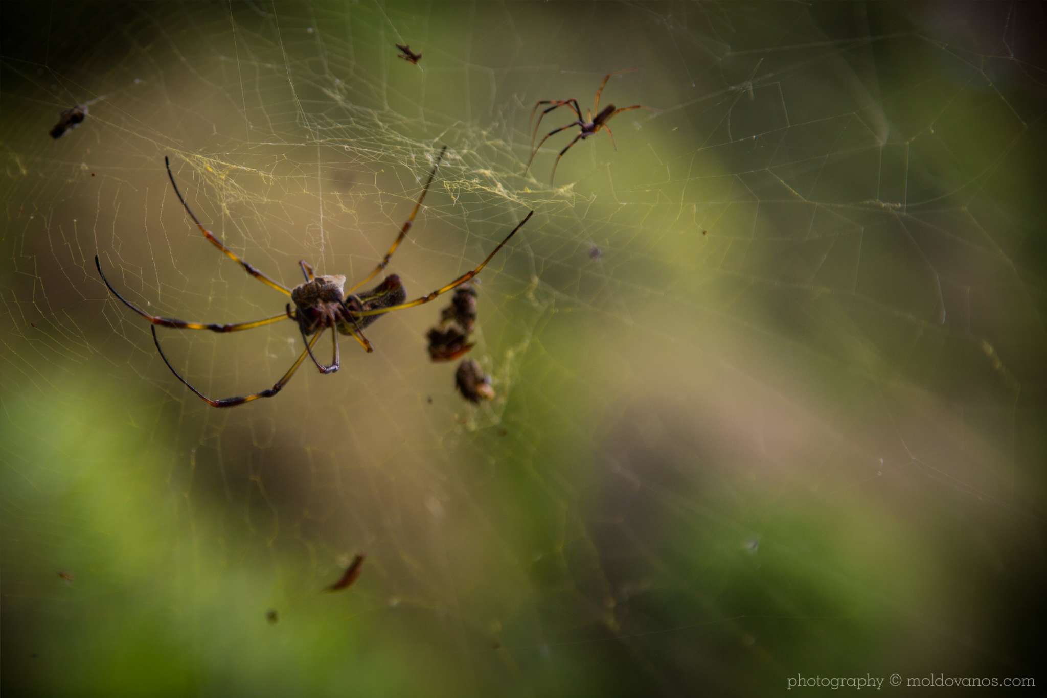 Vilcabamba Ecuador- Travel Tourism Photography by Paul Moldovanos © moldovanos.com