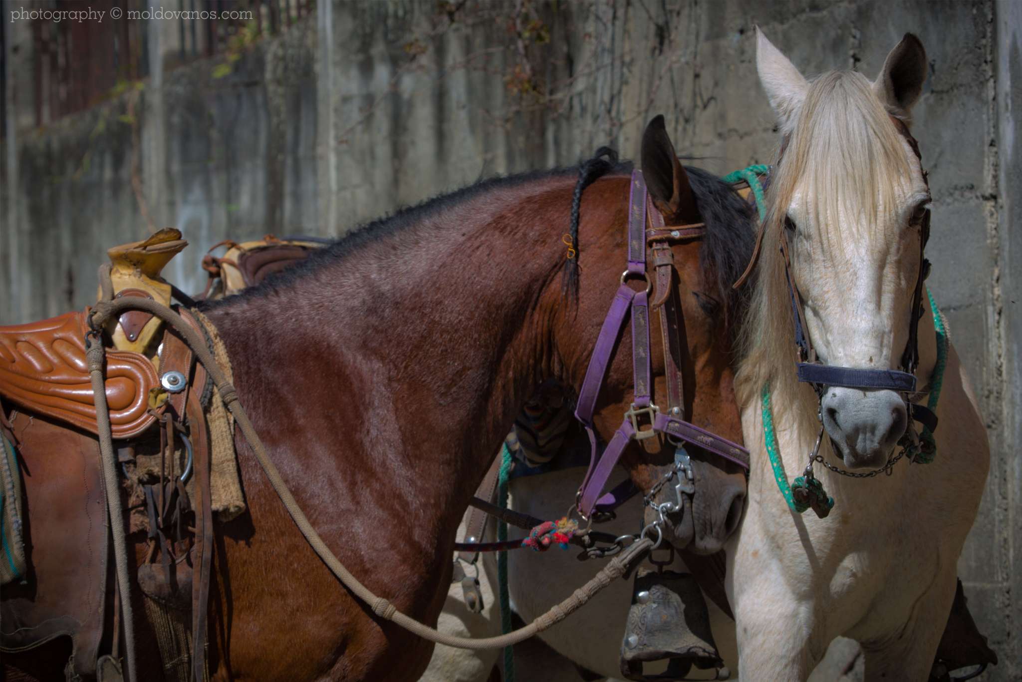 Vilcabamba Ecuador- Travel Tourism Photography by Paul Moldovanos © moldovanos.com
