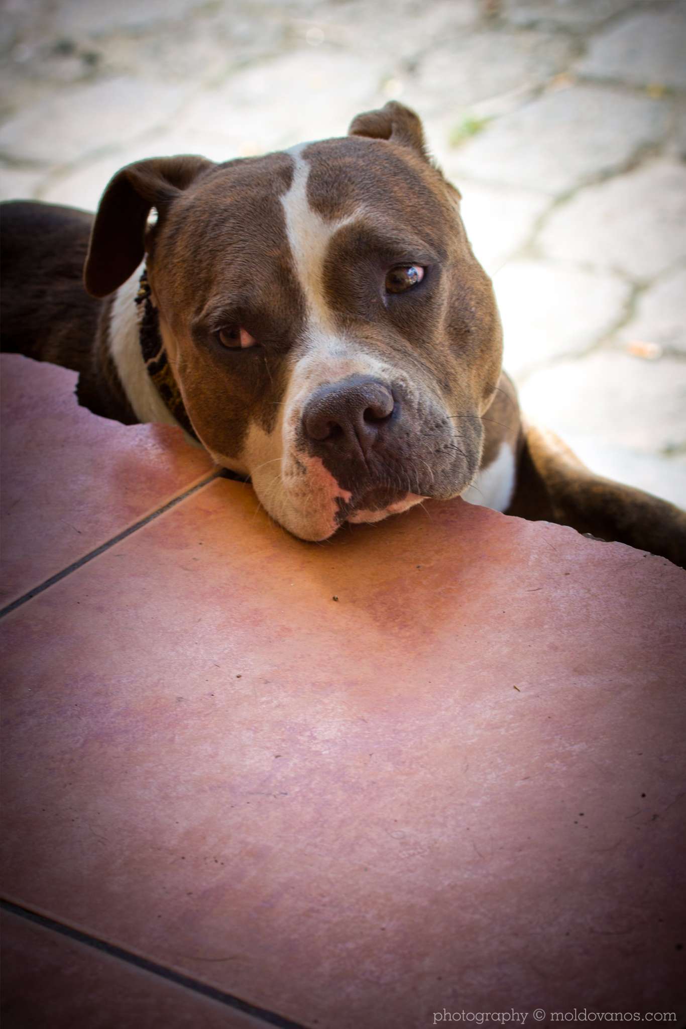 Vilcabamba Ecuador- Travel Tourism Photography by Paul Moldovanos © moldovanos.com