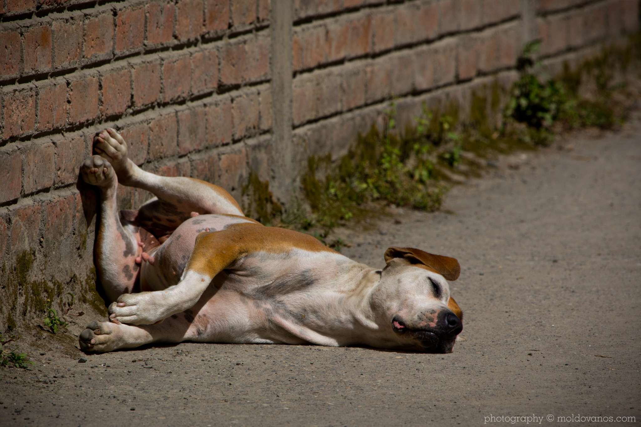 Vilcabamba Ecuador- Travel Tourism Photography by Paul Moldovanos © moldovanos.com