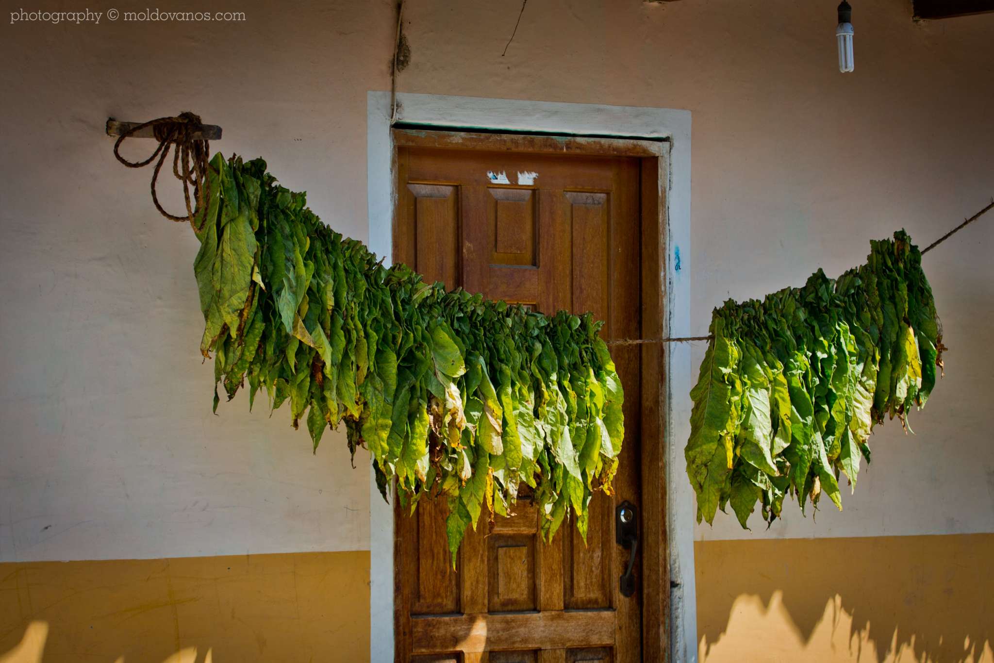 Vilcabamba Ecuador- Travel Tourism Photography by Paul Moldovanos © moldovanos.com