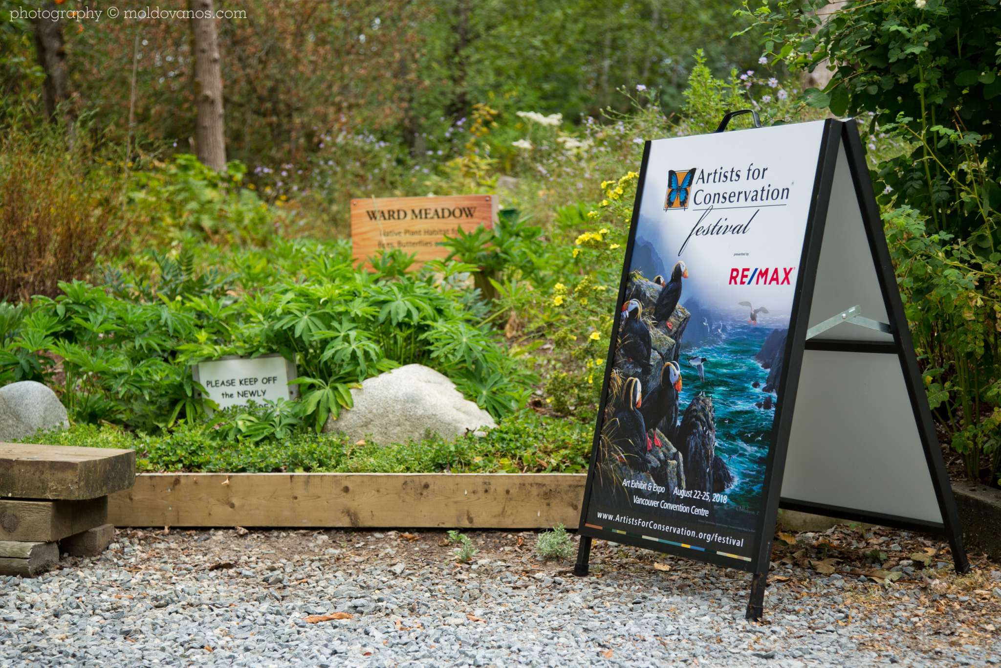 Artists for Conservation 27th International Ornithological Congress- Event Photography by Paul Moldovanos © moldovanos.com