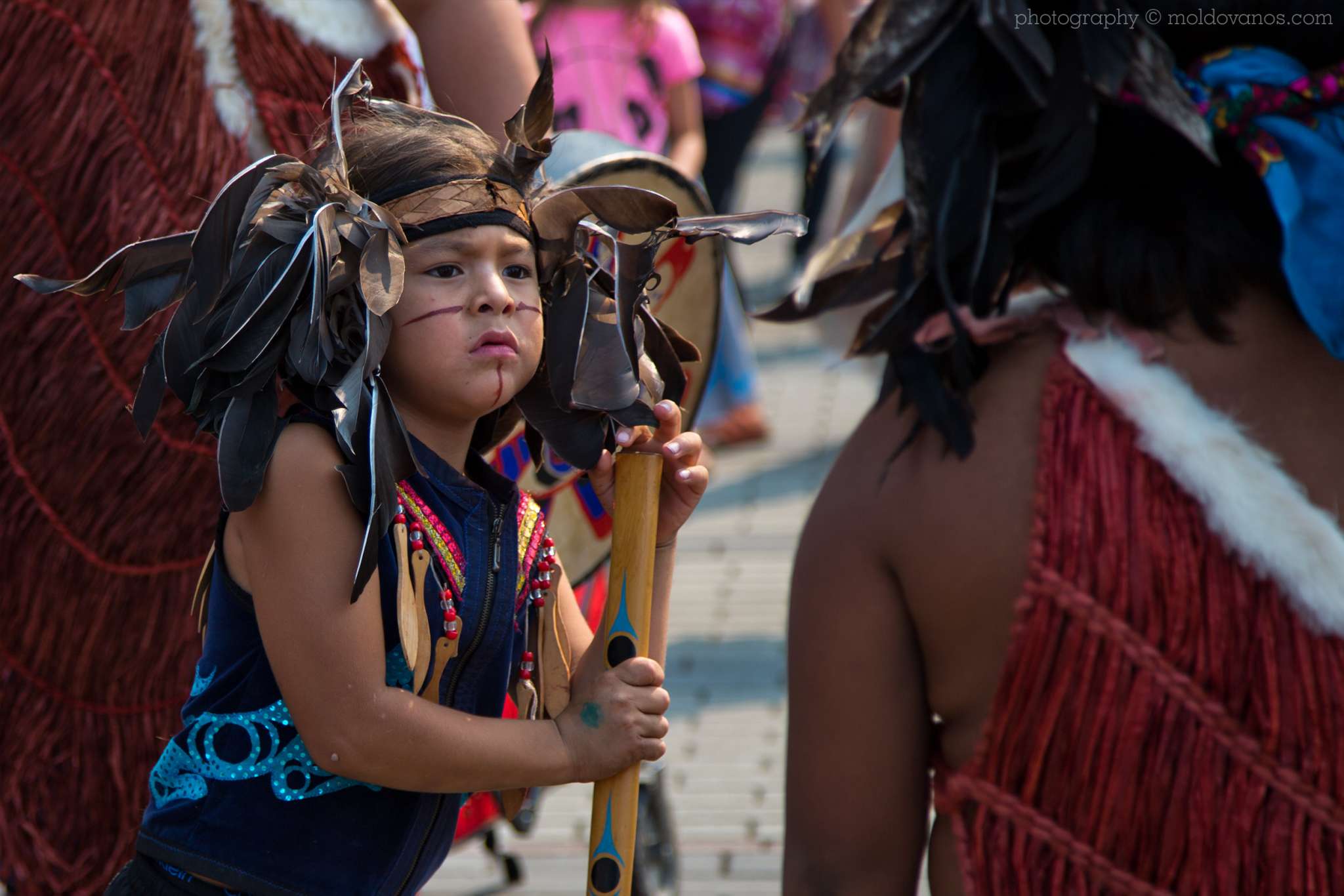 Artists for Conservation 27th International Ornithological Congress- Event Photography by Paul Moldovanos © moldovanos.com