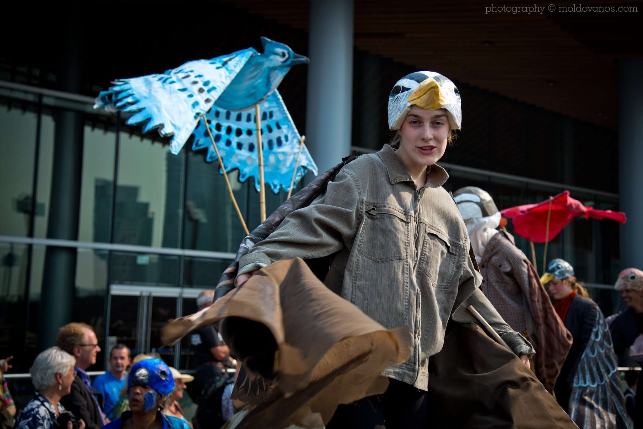 Artists for Conservation 27th International Ornithological Congress- Event Photography by Paul Moldovanos © moldovanos.com