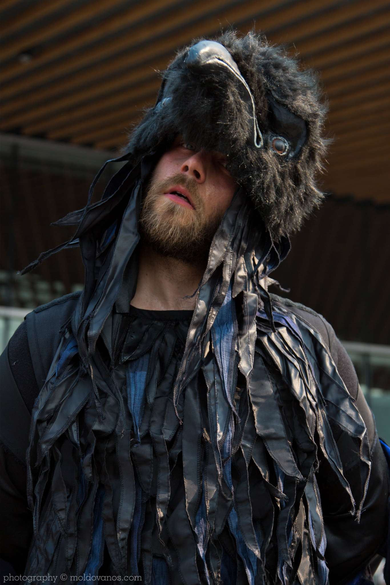 Artists for Conservation 27th International Ornithological Congress- Event Photography by Paul Moldovanos © moldovanos.com