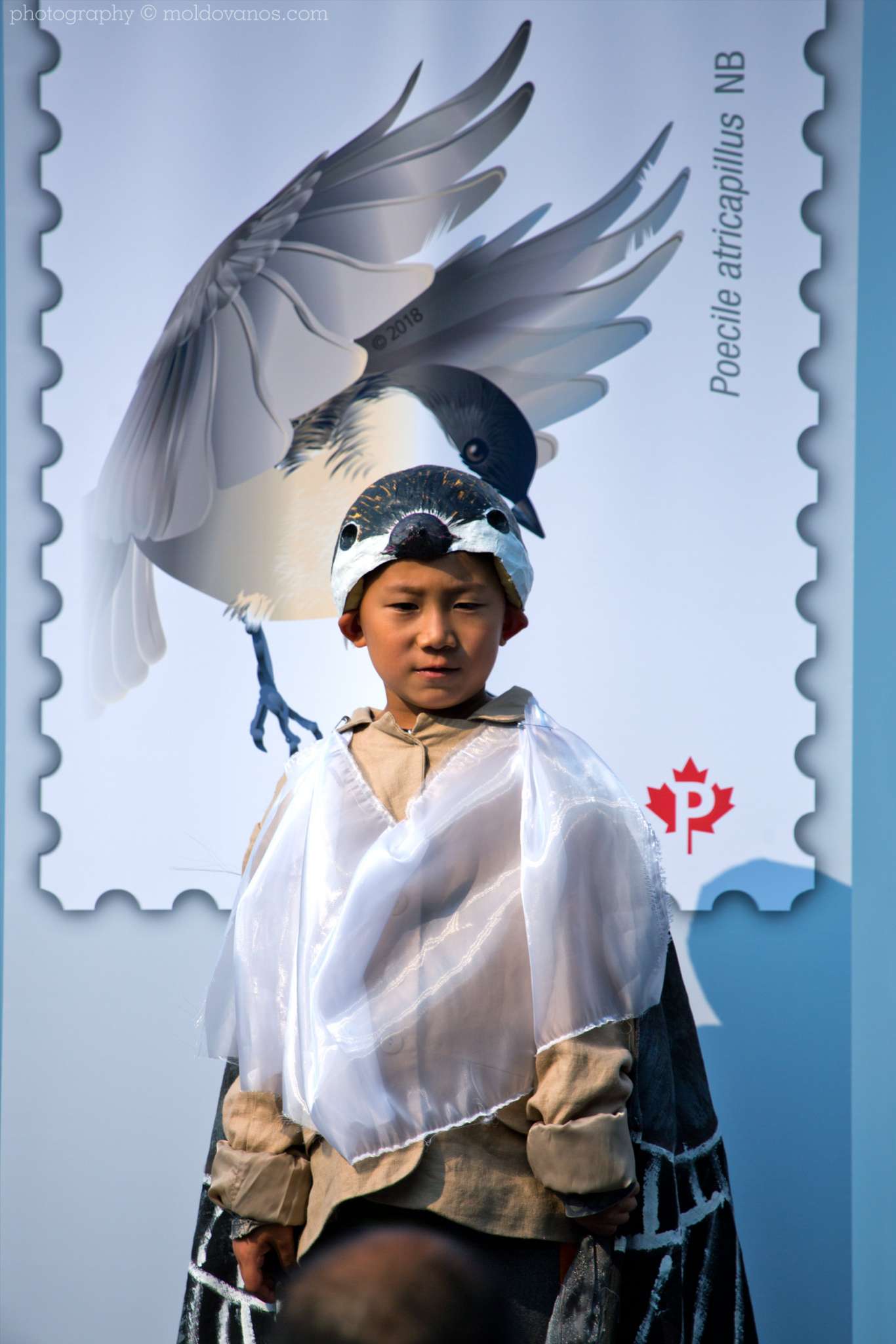 Artists for Conservation 27th International Ornithological Congress- Event Photography by Paul Moldovanos © moldovanos.com