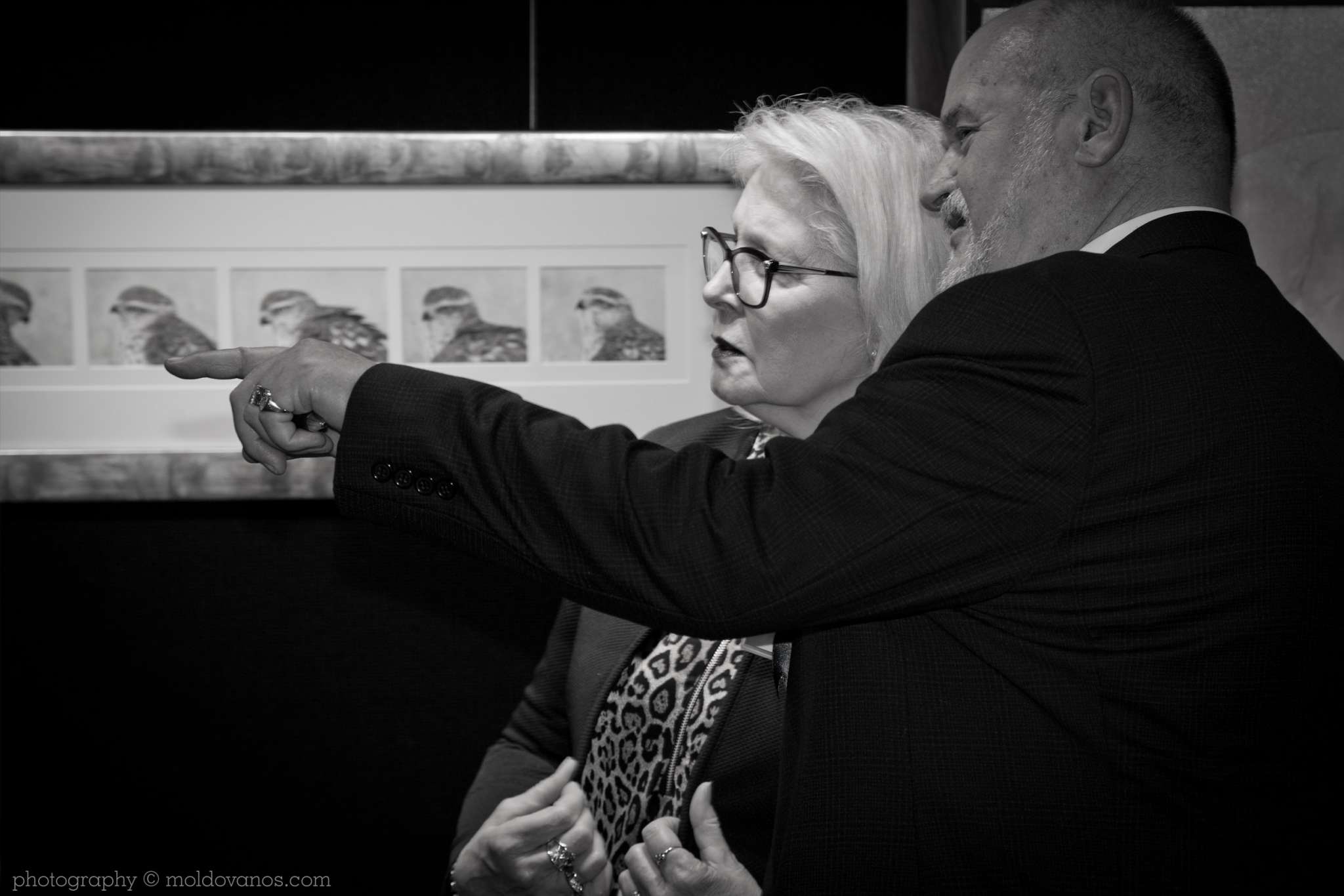 Artists for Conservation 27th International Ornithological Congress- Event Photography by Paul Moldovanos © moldovanos.com