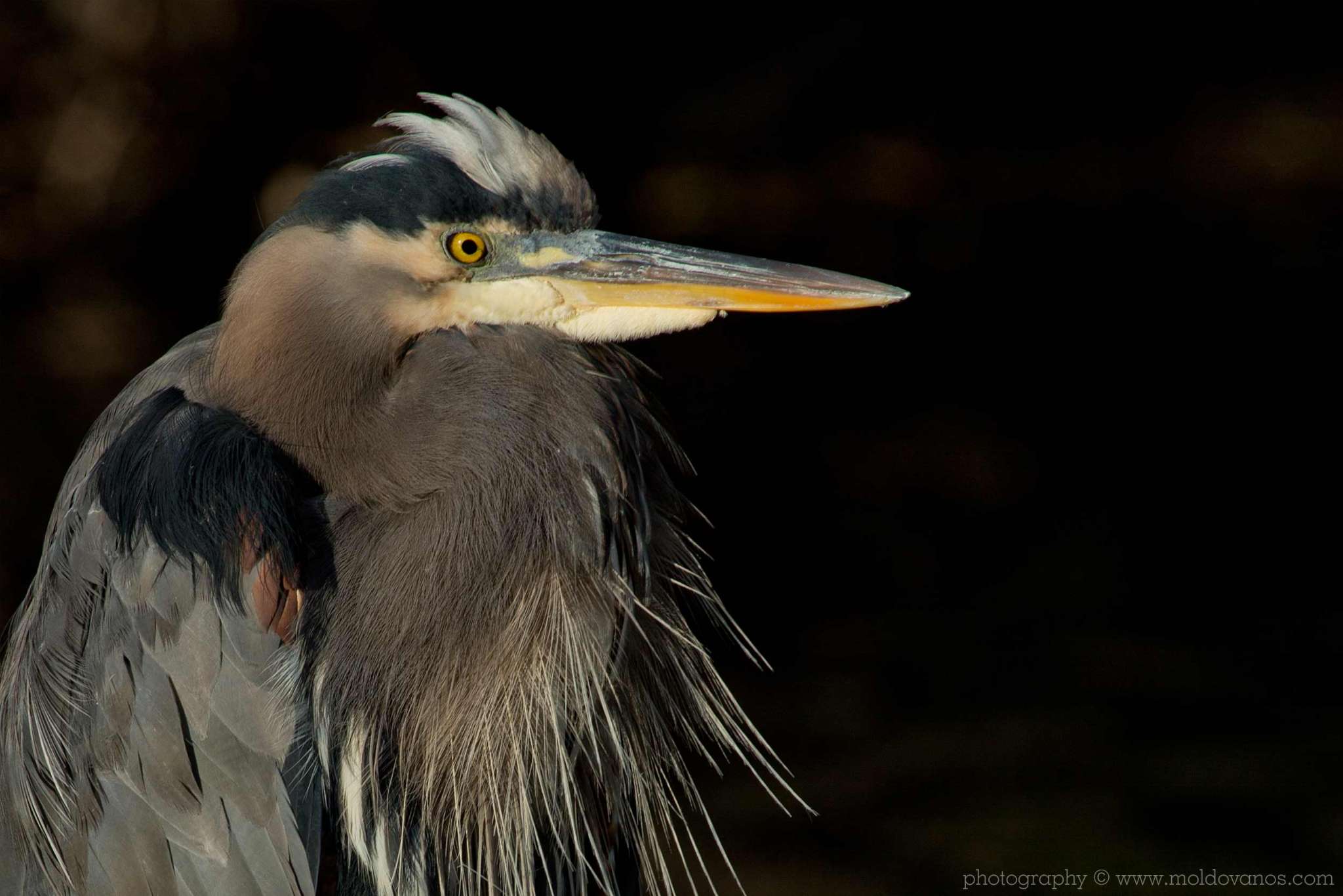 Nature Photography - Photography by Paul Moldovanos © moldovanos.com