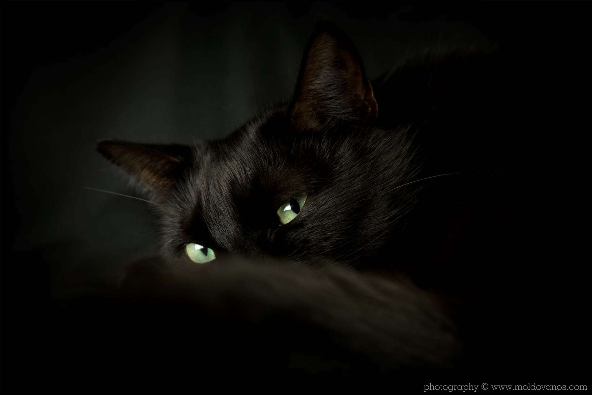 Nature Photography - Photography by Paul Moldovanos © moldovanos.com