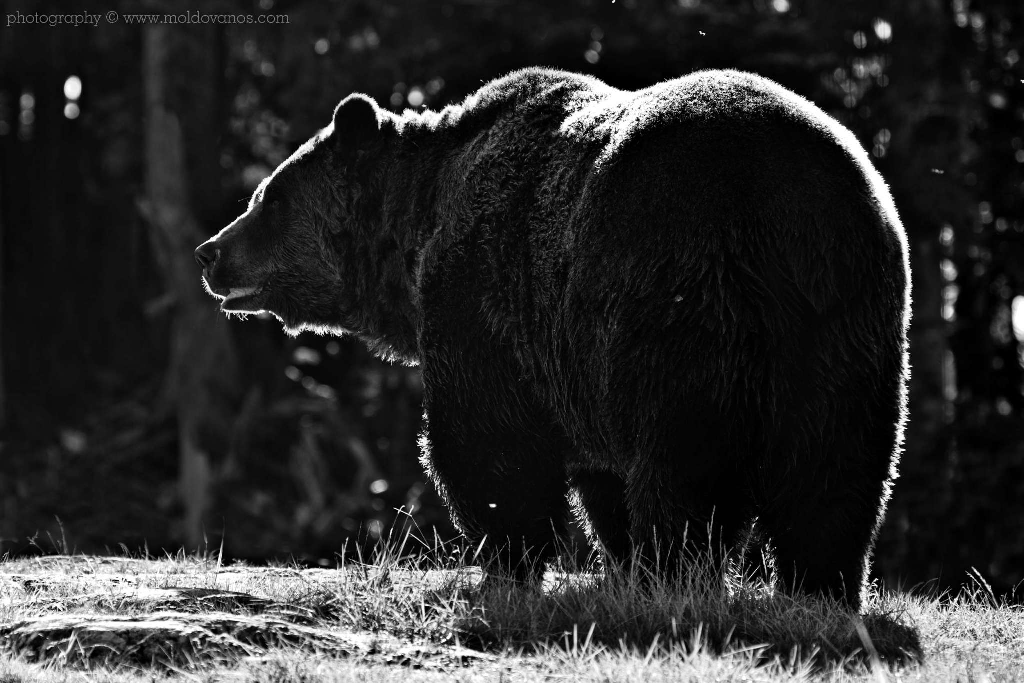 Nature Photography - Photography by Paul Moldovanos © moldovanos.com