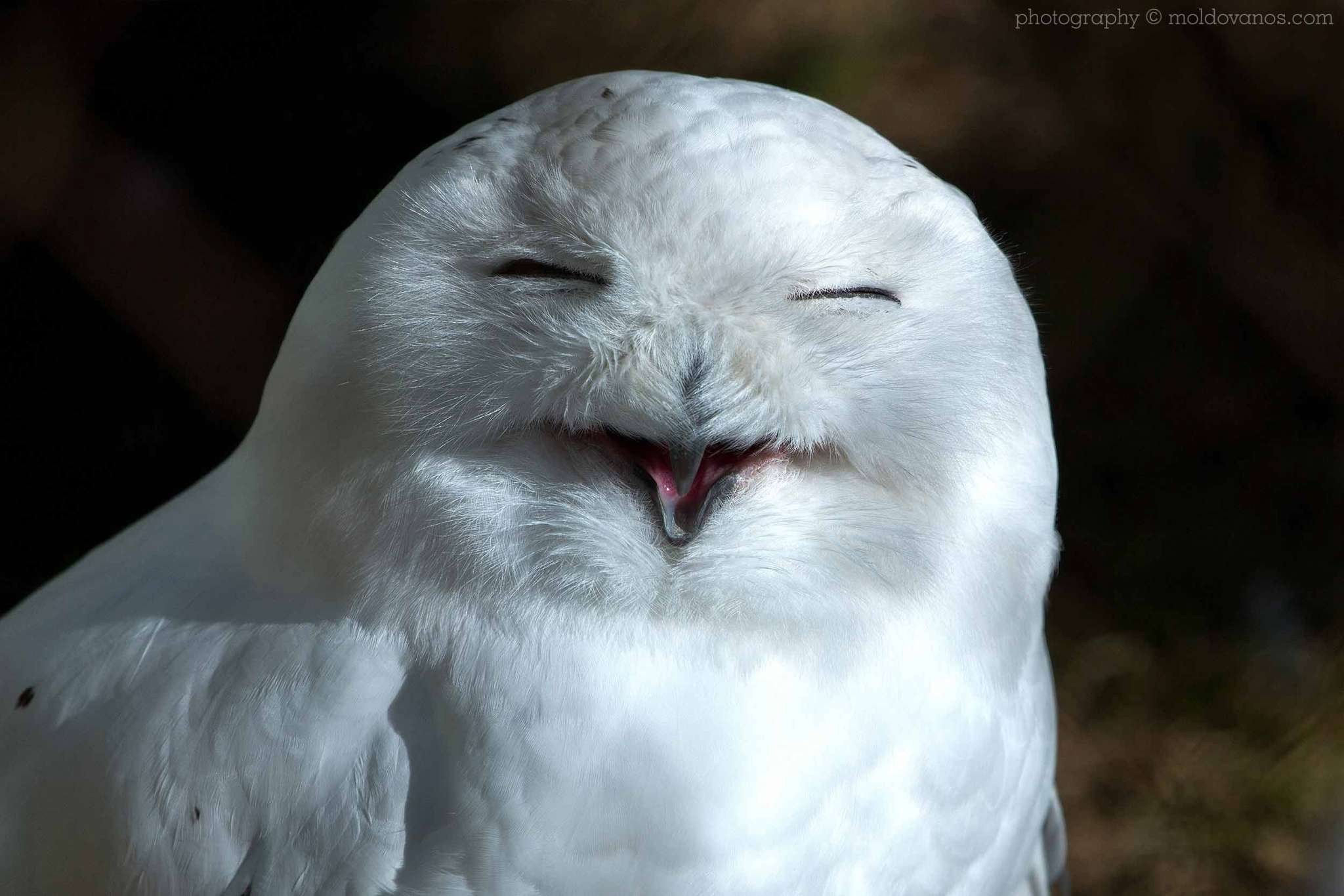 Nature Photography - Photography by Paul Moldovanos © moldovanos.com