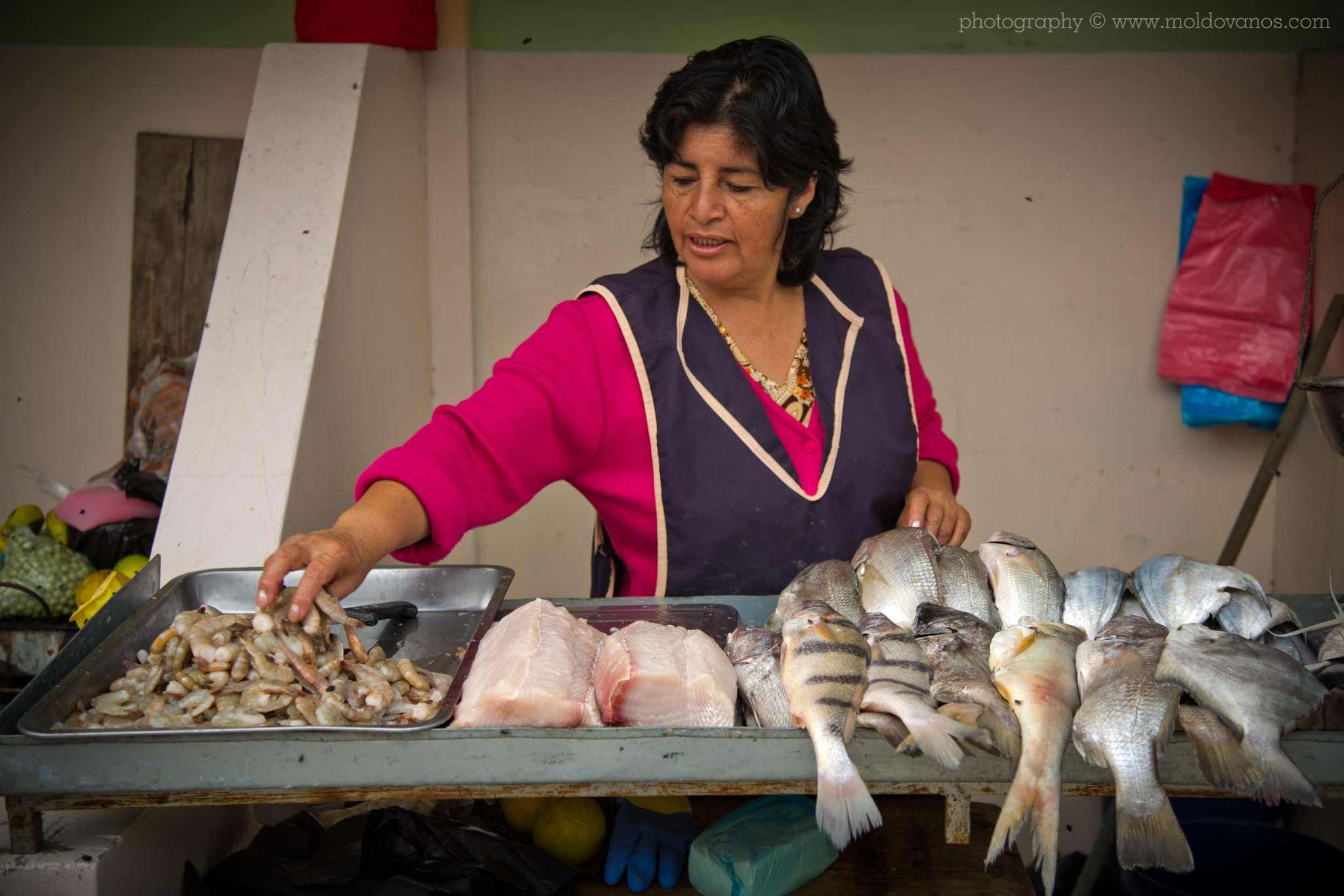 Ecuador- Travel Tourism Photography by Paul Moldovanos © moldovanos.com
