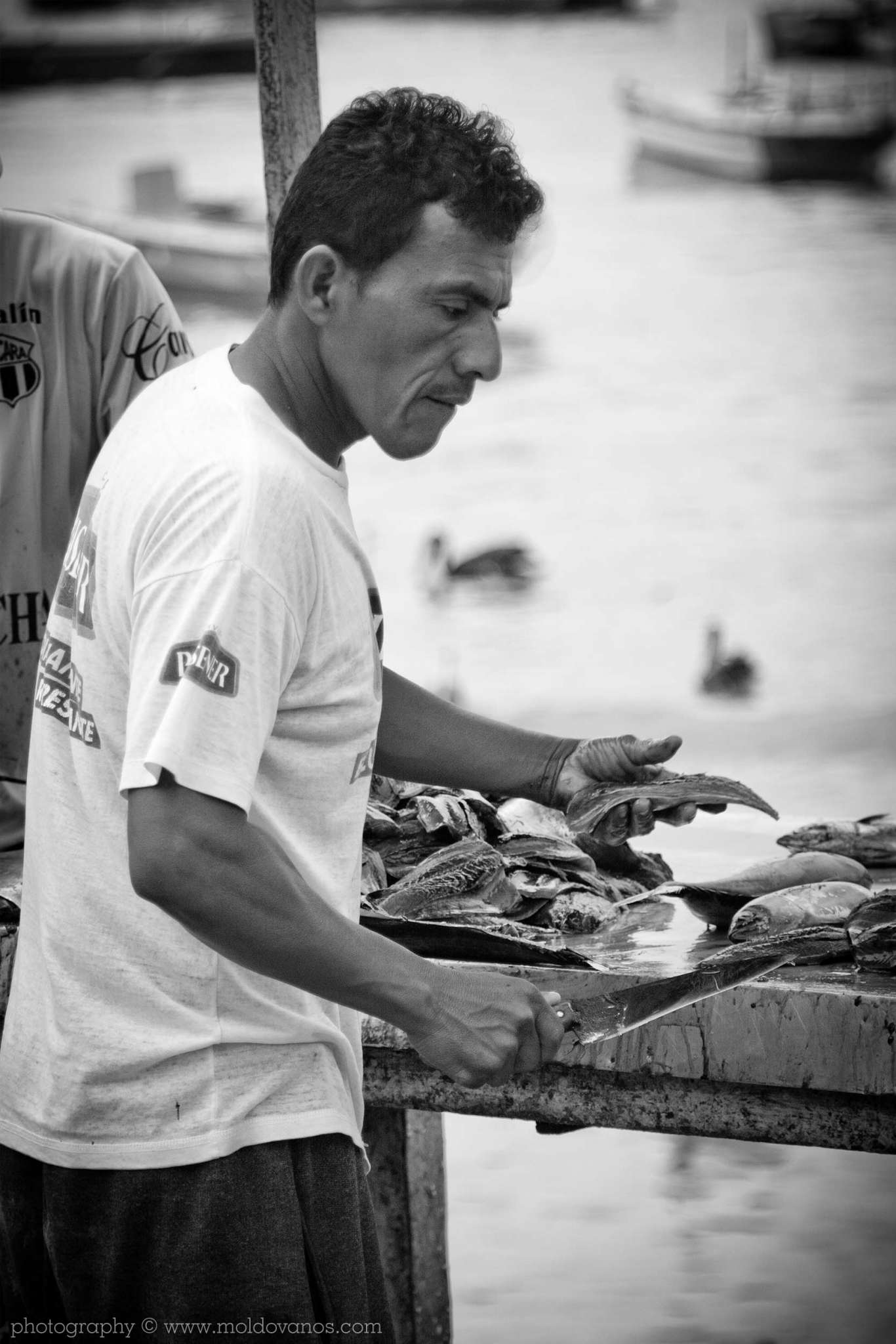 Ecuador- Travel Tourism Photography by Paul Moldovanos © moldovanos.com