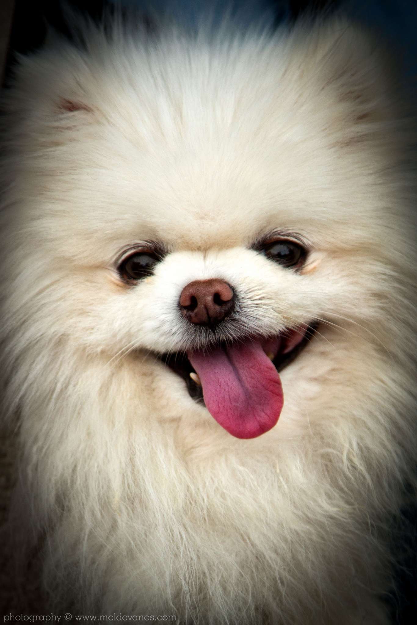 Nature Photography - Photography by Paul Moldovanos © moldovanos.com