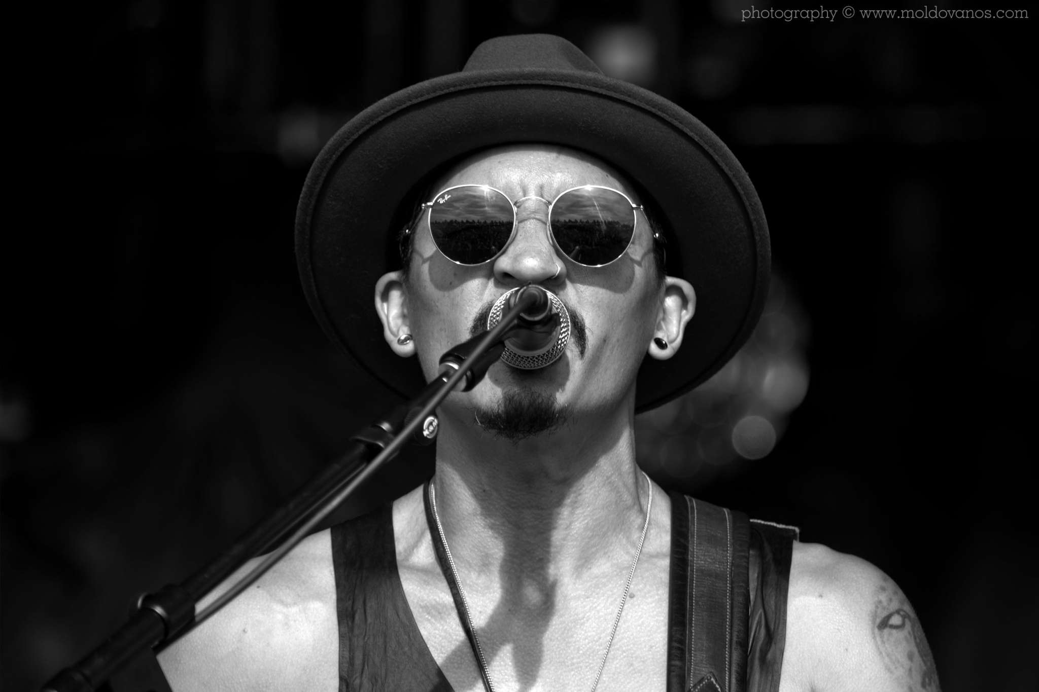 Rock Music Photography by Paul Moldovanos © moldovanos.com