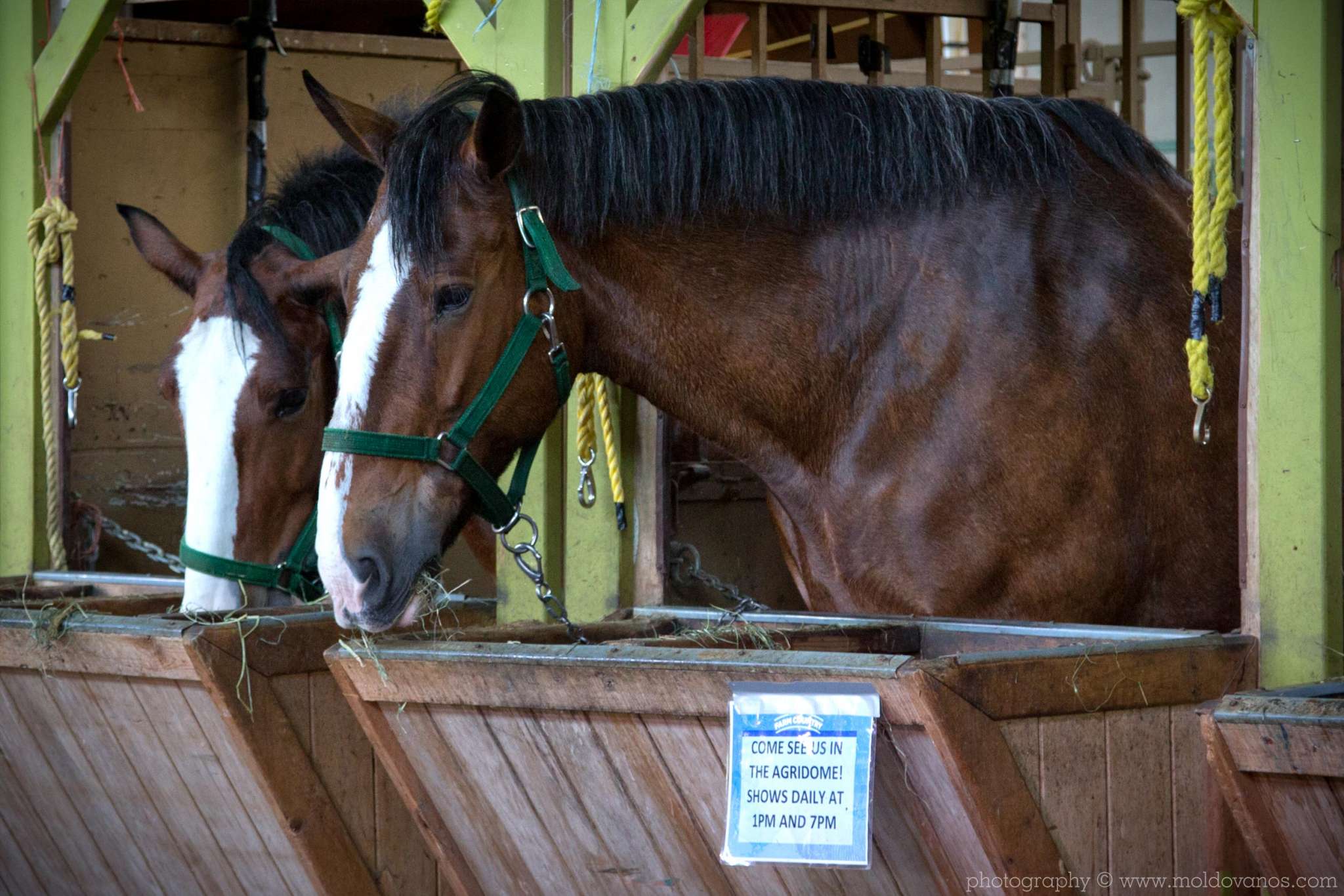 Nature Photography - Photography by Paul Moldovanos © moldovanos.com