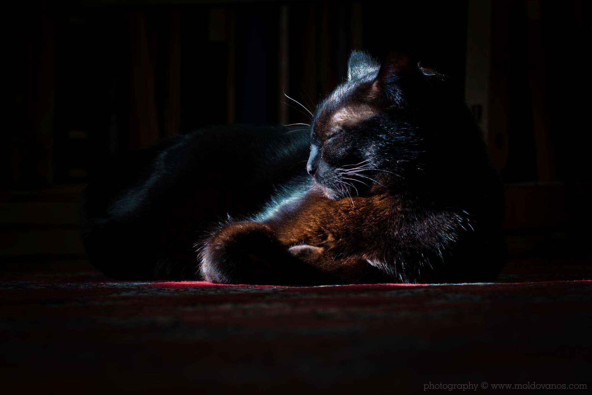 Nature Photography - Photography by Paul Moldovanos © moldovanos.com