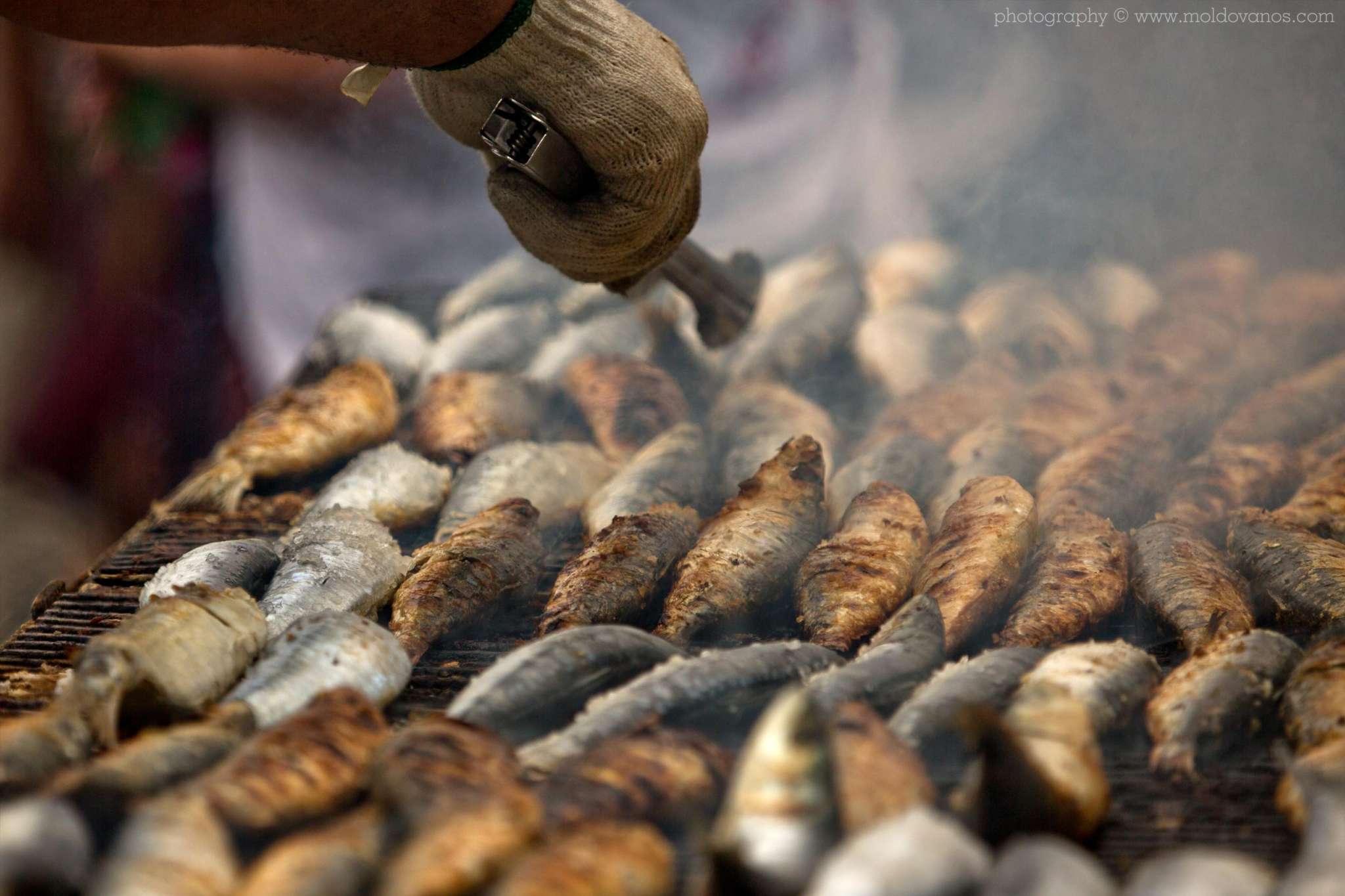 Commercial - Food Photography by Paul Moldovanos