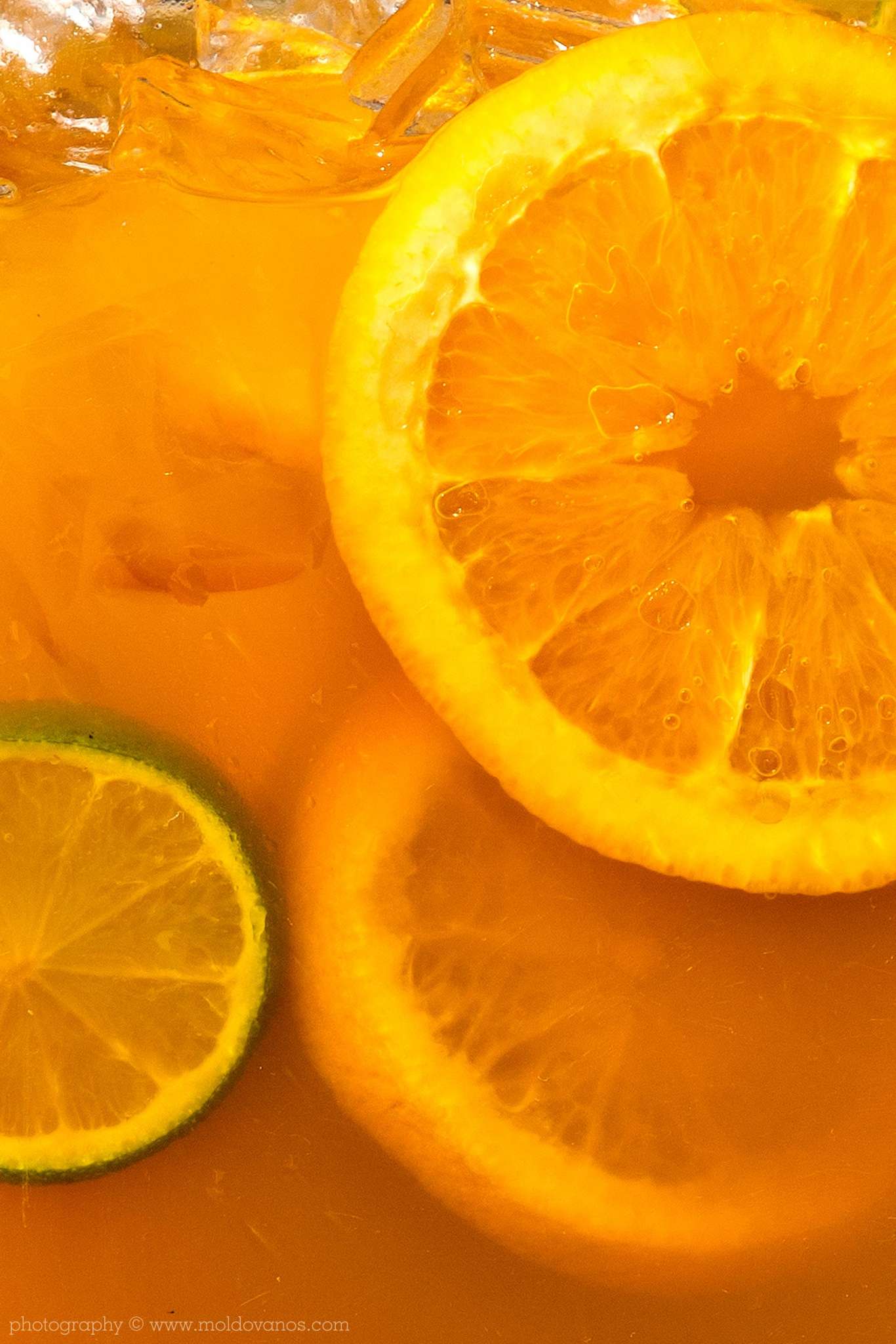 Commercial - Food Photography by Paul Moldovanos