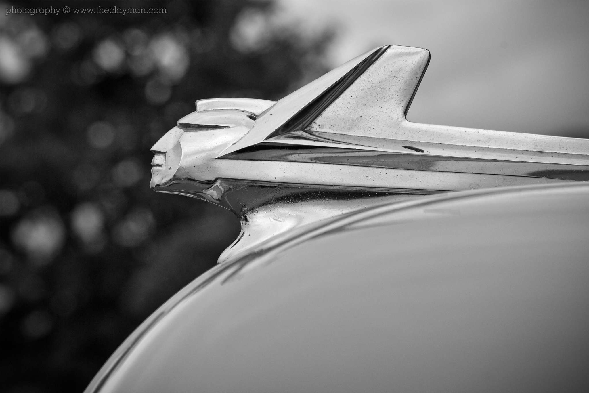 Commercial Photography by Paul Moldovanos