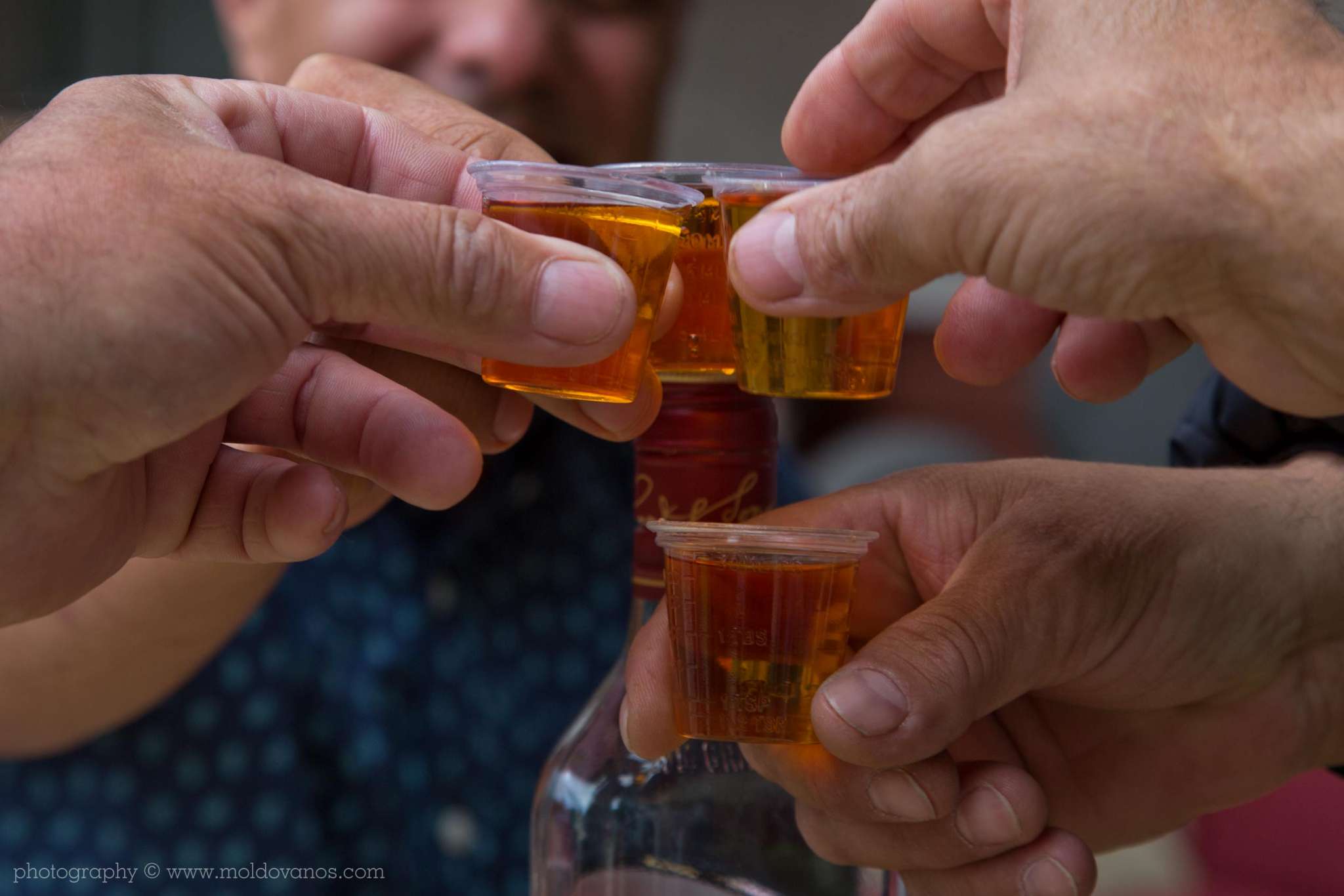 Commercial Photography by Paul Moldovanos