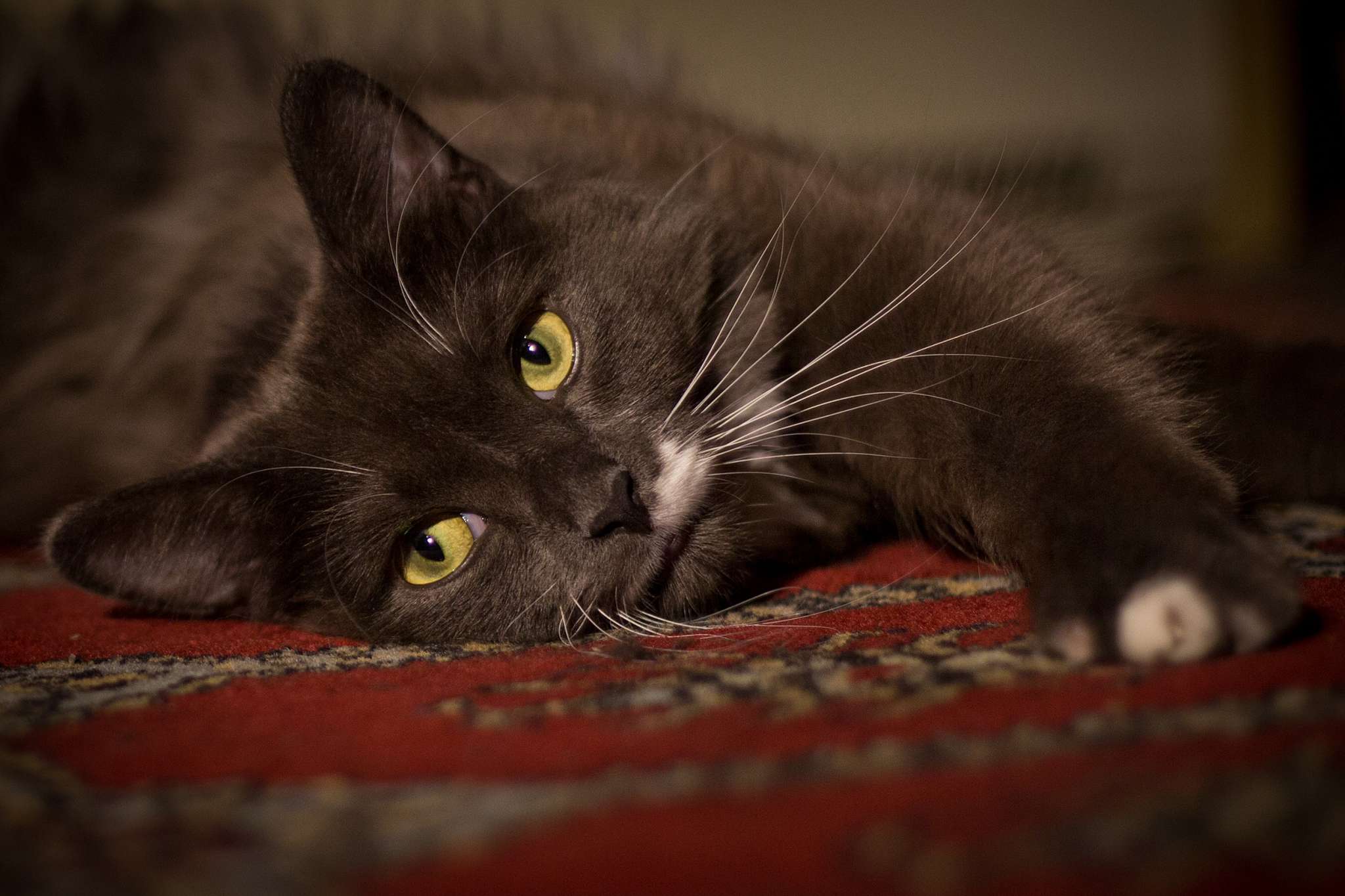 Nature Photography - Photography by Paul Moldovanos © moldovanos.com